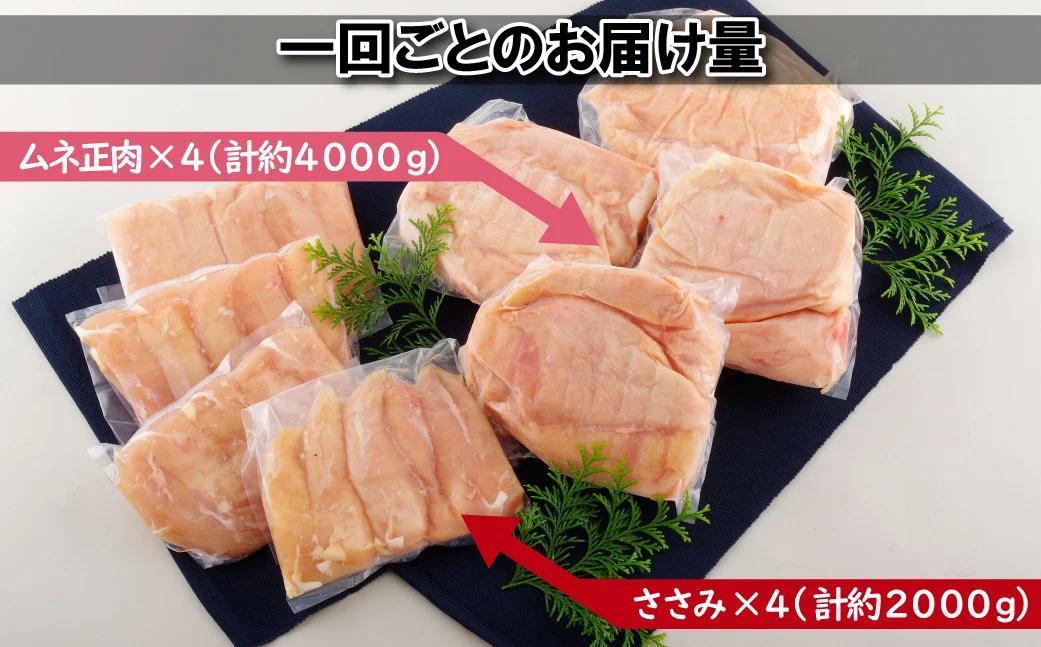 【鶏肉むね・ささみセット 3回定期便】ながさき福とり 鶏肉正肉セット (計6,000g) 総計18kg【長崎福鳥】小分け 真空冷凍 冷凍 定期便 むね ムネ ささみ ササミ ハーブの力で健康に育てたブ