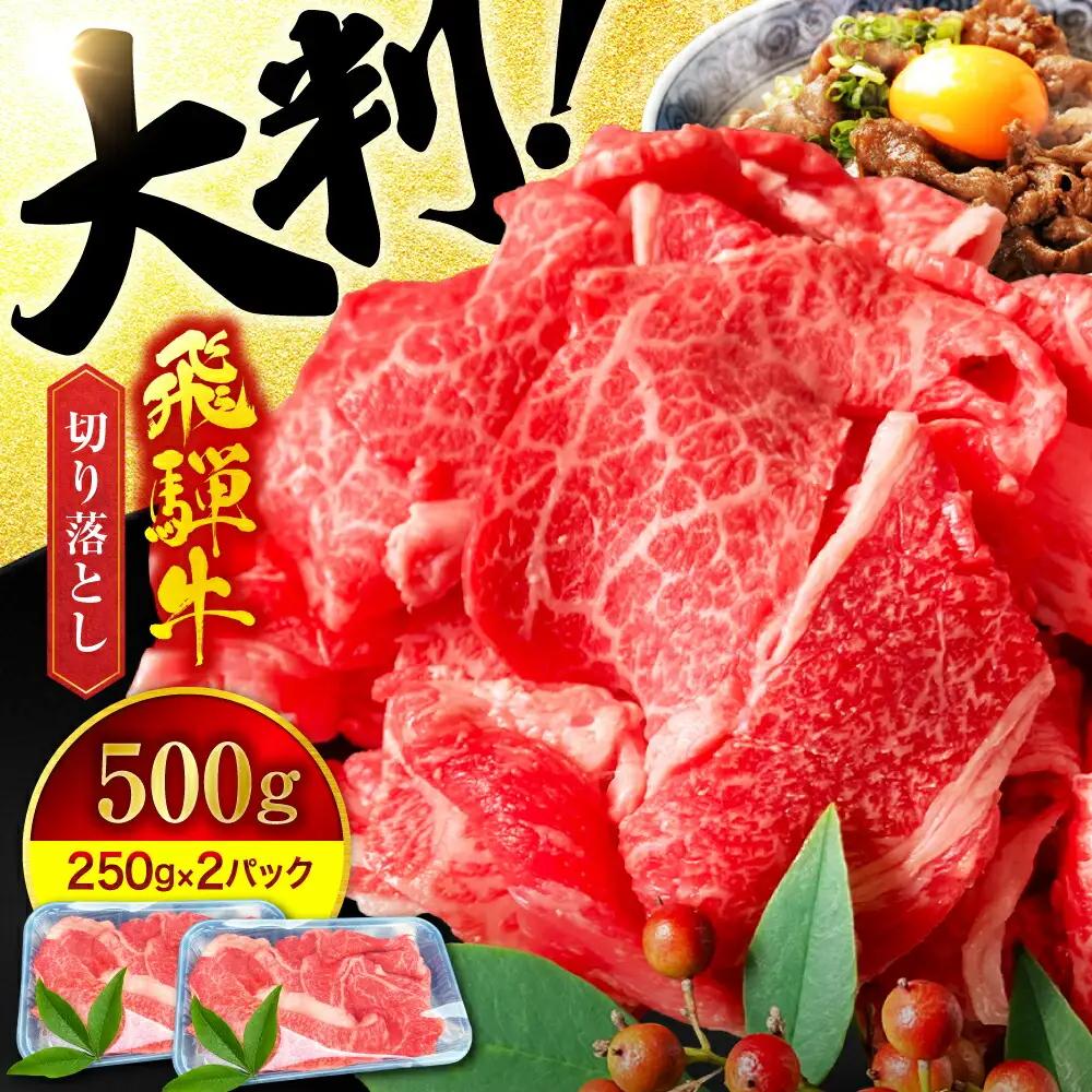 飛騨牛 切り落とし500g(250g×2) A5飛騨牛【マルゴー】[MBE002]