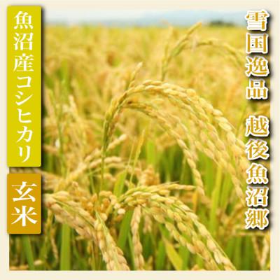 ふるさと納税 魚沼市 令和7年産【雪国逸品 玄米5Kg】越後魚沼郷 魚沼産コシヒカリ |  | 02