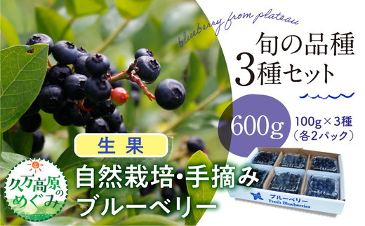 【先行予約】農園直送 手摘み 生果 品種おまかせ ブルーベリー 100g×3種×2パック 計6パック 食べ比べ ※北海道・沖縄・離島への配送不可 ※2025年7月上旬～8月下旬頃に順次発送予定