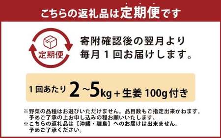 【定期便6回】旬の野菜の詰め合わせと栽培期間中農薬不使用の生姜100g付き 詰め合わせ 野菜セット 野菜 ギフト やさいセット お取り寄せグルメ 家庭用 旬野菜 新鮮 特産 農薬不要 食材