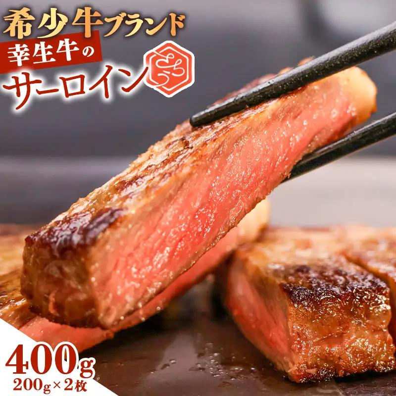 【30営業日以内配送】幸生牛 サーロインステーキ 400g（200g×2枚） ステーキ 肉 牛肉 希少 山形 《幸せを運ぶ牛》 025-D-YL038