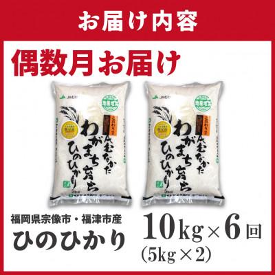ふるさと納税 福津市 【定期便全6回】JAよりお届け、R8年2月〜発送開始「ひのひかり」10kg×6回[G5102b] |  | 01