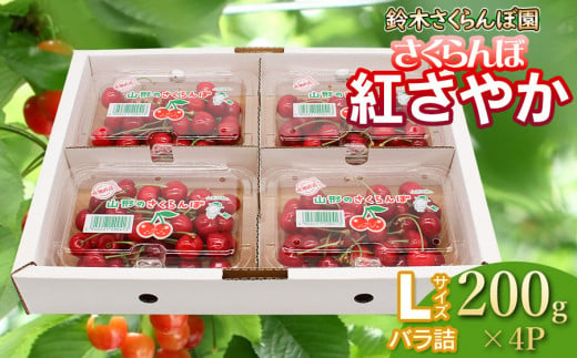 【令和7年産先行予約】 さくらんぼ 紅さやか Lサイズ フードパック 800g（200g×4p） 山形県鶴岡産　鈴木さくらんぼ園