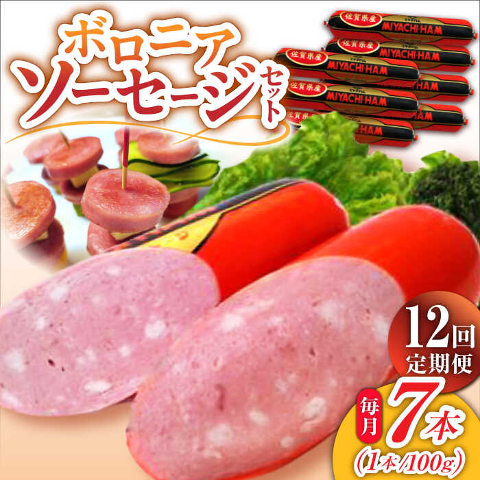 【ふるさと納税】【12回定期便】宮地ハムのロングセラー ボロニアソーセージ 100g×7本 /宮地ハム[UBM013] ソーセージ 豚肉 豚 お肉 肉 定期便