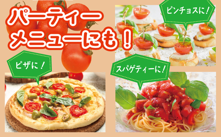泉州産 新鮮ミニトマト 12パック 約2kg