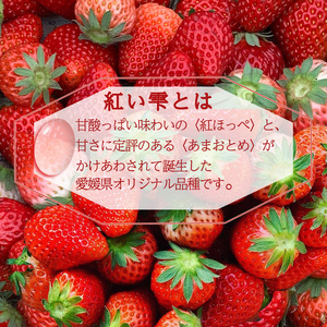 【2025年6月以降発送】愛媛県オリジナル品種 紅い雫の冷凍イチゴ 1.5kg いちご いちご いちご いちご いちご【WN0033】