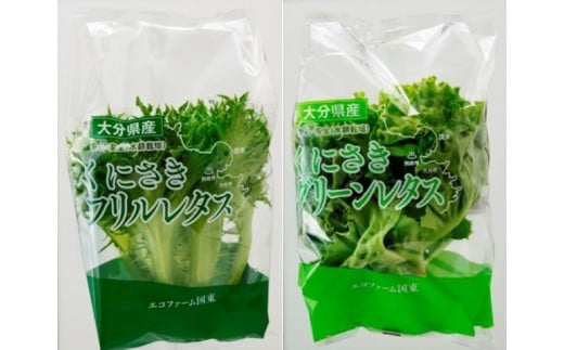 毎月お届け！くにさき太陽のレタス定期便/計6回発送(2120R)_イメージ4