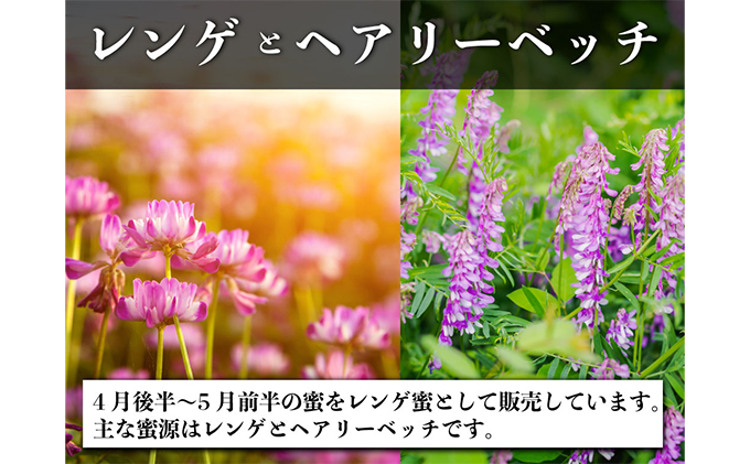 レンゲ はちみつ×1本 240gと 百花 はちみつ×1本 300g のセット 岡山県 瀬戸内市産 石黒農園