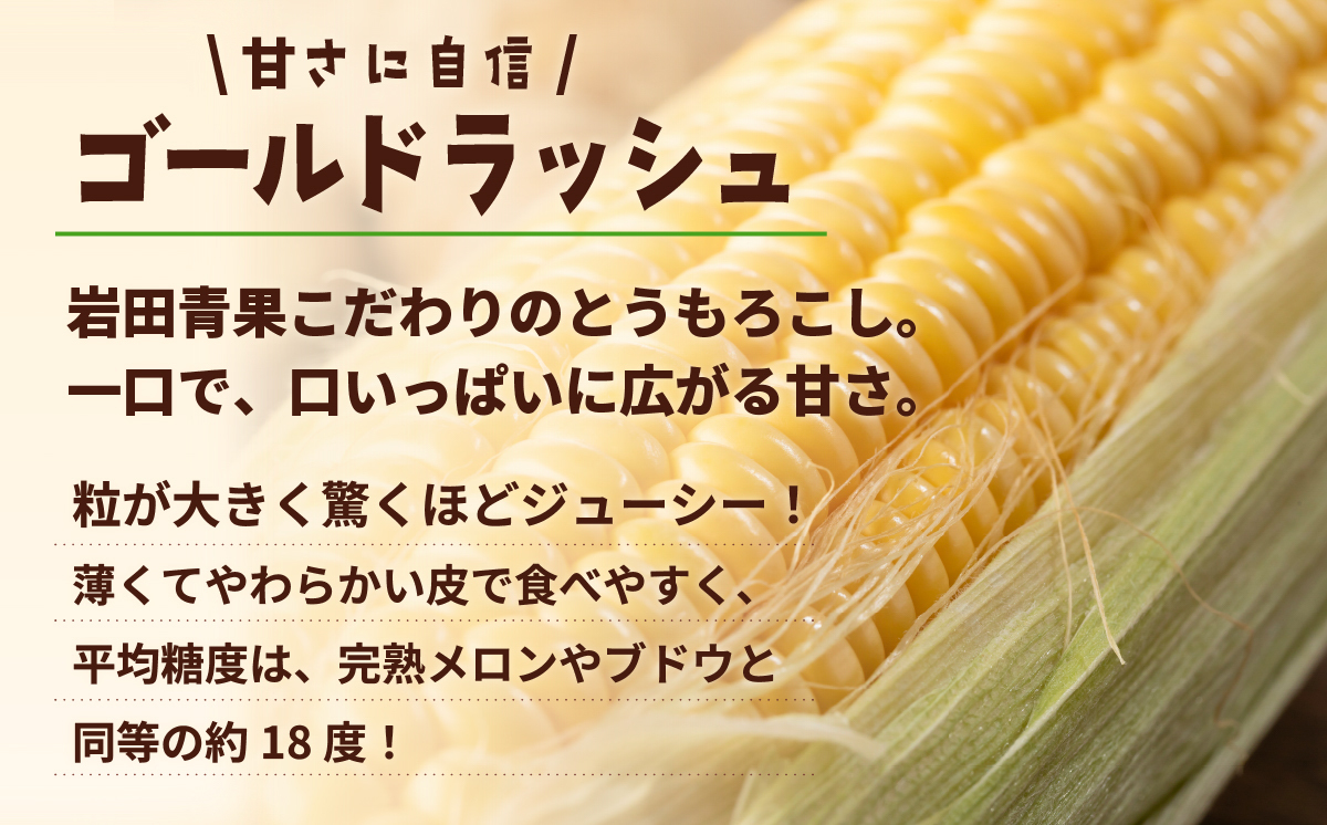 【関東＋山梨県限定 当日便】【先行予約 2026年6月中旬以降発送 】 【 令和8年産 】深夜採り 朝出荷 とうもろこし （ ゴールドラッシュ ） 約 3.5kg トウモロコシ 深夜採り 甘い 新鮮 