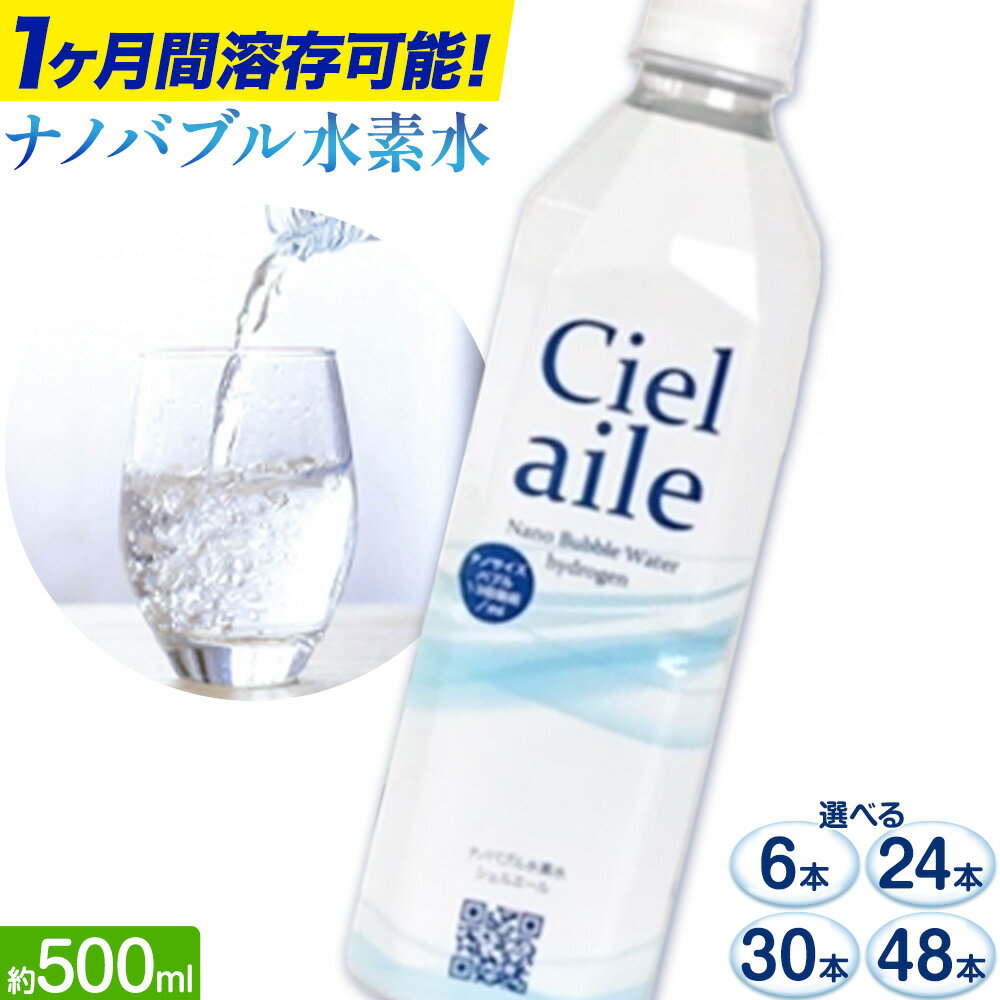 【ふるさと納税】 ナノバブル水素水 ペットボトル 約500ml 選べる 6本 24本 30本 48本 株式会社ヒロシバ《30日以内に出荷予定(土日祝除く)》大阪府 羽曳野市 送料無料 水素水 肌 美容 健康 水