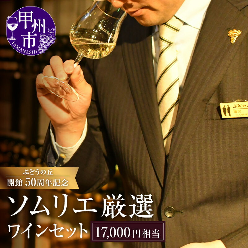 【ふるさと納税】 ワイン 約17,000円相当 ソムリエ セレクト 厳選 勝沼ぶどうの丘 日本ワイン 甲州ワイン 勝沼 白 赤 ロゼ オレンジ スパークリング おすすめ お楽しみ 母の日 父の日 記念日 ギフト 山梨県 甲州市 （KBO） 【H-653】