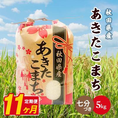 ふるさと納税 八郎潟町 【毎月定期便】あきたこまち 5kg【7分づき(精米)】 秋田県産全11回