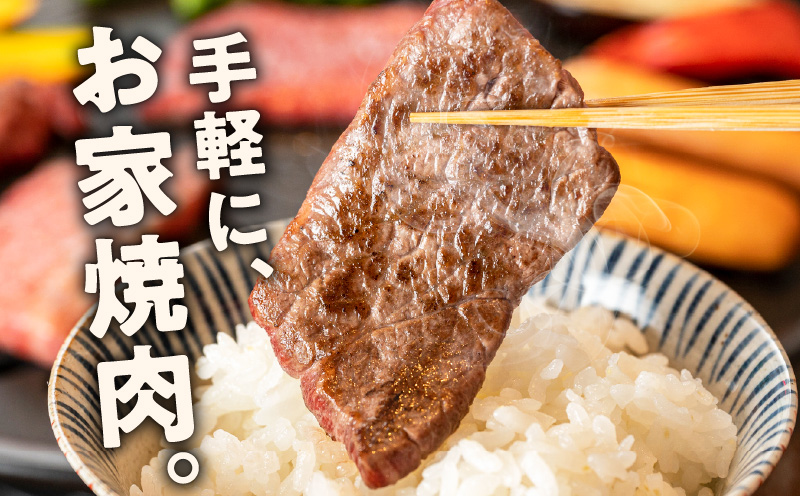 【氷温熟成×特製ダレ】牛肉 ハラミ 2.4kg（300g×8P） mrz0389