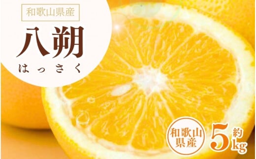 八朔(はっさく)約5kg サイズおまかせ　紀伊国屋文左衛門本舗 ※2026年1月下旬～2026年4月上旬頃に発送予定【kstb410B】