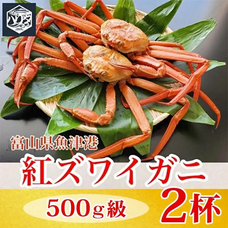 【冷蔵】自社漁船直送！魚卸問屋の紅ズワイガニ 500g級×2ハイセット ※2026年9月～発送