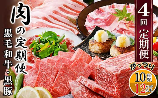 定期便4回配送　肉の定期便 EE−6016【配送不可地域：離島】【1491491】