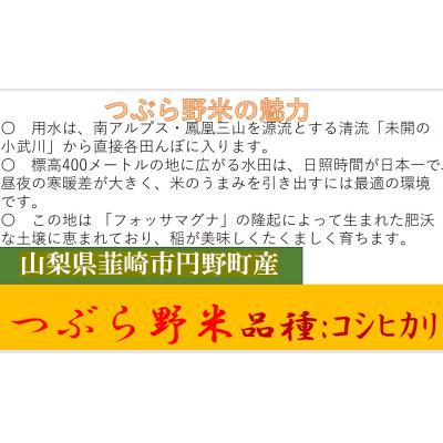 ふるさと納税 韮崎市 【毎月定期便】つぶら野米(品種:コシヒカリ) 白米3kg 定期6ヶ月(計18kg)全6回 |  | 01