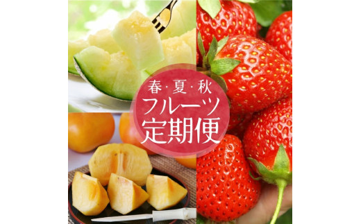 ≪3回定期便≫ 自然の恵み 春・夏・秋フルーツ定期便2026 4月下旬～5月下旬 おとめ心 いちご 6月下旬～7月中旬 砂丘育ちの甘えんぼう 青肉メロン 10月中旬～11月下旬 庄内柿 計3回 山形県酒田産 着日指定不可 先行予約 頒布会 苺 平種無し柿 JAそでうら　SC0628