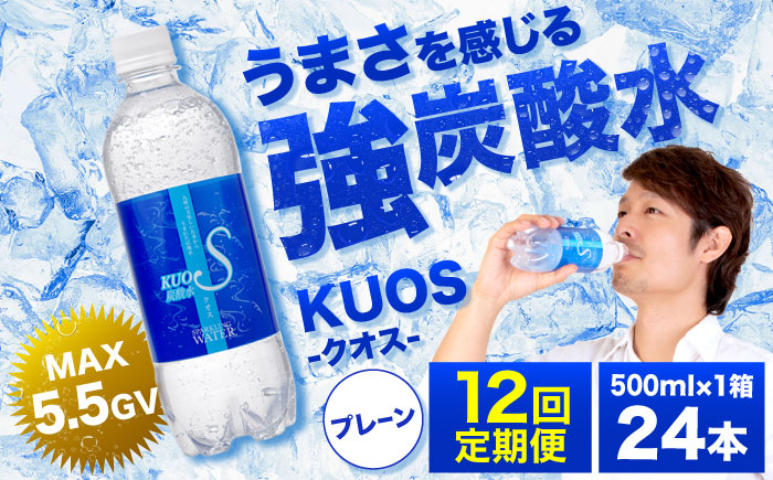 【全12回定期便】強炭酸水クオス プレーン 500ml×24本 日田市 / 株式会社OTOGINO [AREF089]