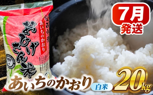 【7月発送】あいちのかおり 白米 20kg 米 お米 20kg 20キロ 白米 精米 コメ ご飯 ごはん 愛知県産 国産 県産米 国産米 あいちのかおり 発送 時期 選べる 産地直送 大容量 令和7年 愛西市 / 脇野コンバイン [AECP003-10]