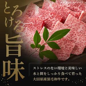 大田原産 黒毛和牛 極旨カルビ 焼肉用　500g×3