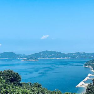 【発送は1月下旬から】 松山市中島産 伊予柑 Lから2Lサイズ 5kg （ 国産 愛媛みかん 愛媛ミカン みかん ミカン mikan 蜜柑 柑橘 フルーツ 果物 くだもの お取り寄せ 産地直送 数量限