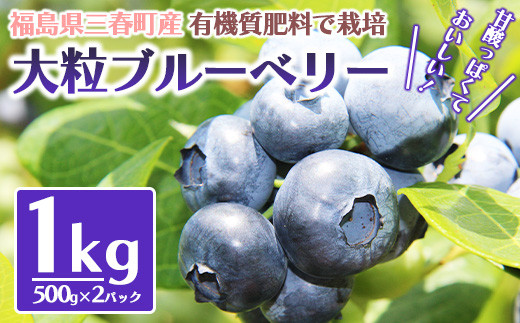 三春ブルーベリー 500g×2パック／計1kg 【2027年6月下旬発送】【期間限定 三春町産 生ブルーベリー 大粒 冷蔵 福島県 三春町 三春ブルーベリー倶楽部 有機質肥料 果物 国産 フルーツ 果実 旬 お中元 夏 ギフト プレゼント 贈り物 贈答 自宅用】【07521-0103】