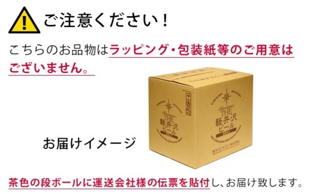 THE軽井沢ビール　10種20缶　飲み比べ　ギフトセット　12カ月定期便