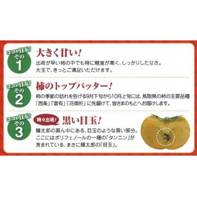 ふるさと納税 米子市 鳥取県産柿「輝太郎柿」きたろうかき　3kg |  | 01