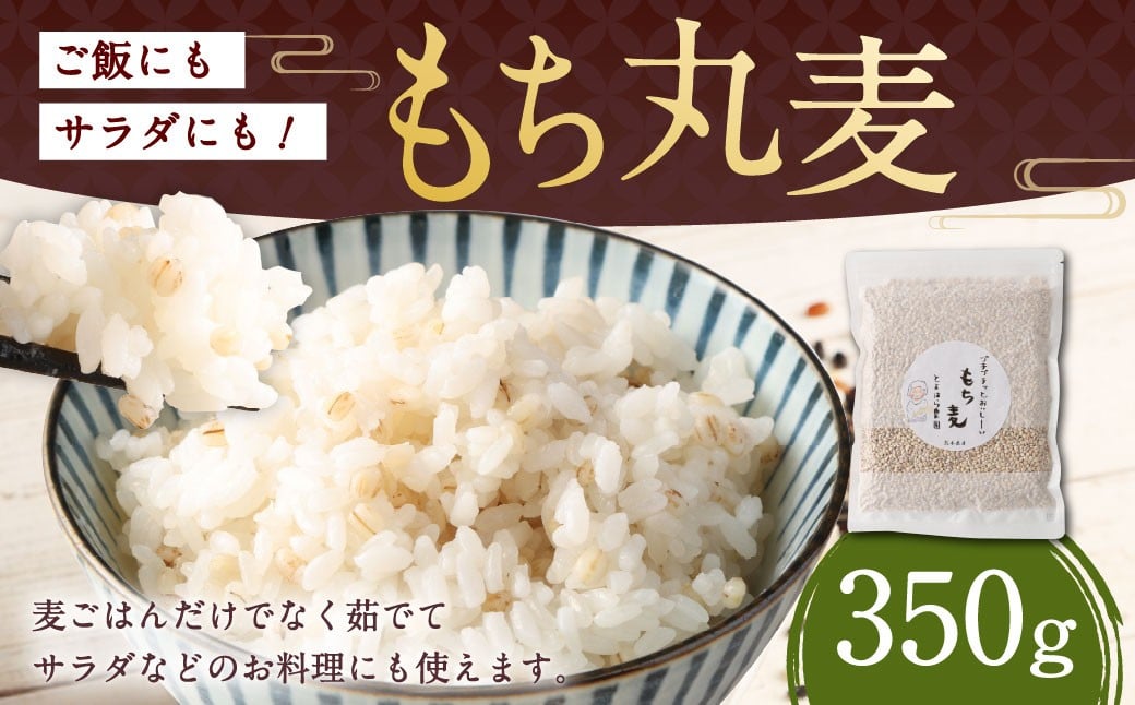 ご飯にもサラダにも！もち丸麦 350g 雑穀米 雑穀 麦 もち麦 麦ごはん 麦ご飯 サラダ 食物繊維 常温 お取り寄せ 国産 九州産 熊本県 湯前町