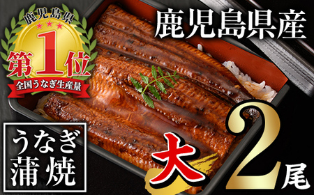 鹿児島県産うなぎ蒲焼セット＜大＞(計280g・ 約140g×2尾) タレ・山椒付き 【西日本養鰻】A60-v01