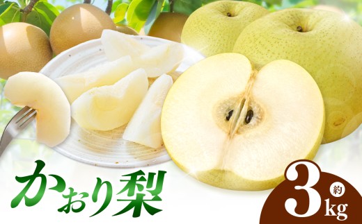 西江豊水園のかおり梨 約3kg ( 3個前後 ) | フルーツ 果物 くだもの 果実 数量限定 旬 完熟梨 梨 なし ナシ かおり かおり梨 和梨 3kg 3キロ 新鮮 産地直送 大分県産 九州産 国産 大分県 中津市