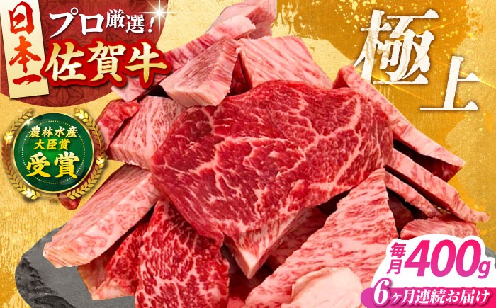 
                  【全6回定期便】佐賀牛 焼肉用 （カルビ・赤身） 400g 【田中畜産牛肉店】 佐賀牛 牛肉 精肉 肉 切り落とし 焼肉 6回 6ヶ月 定期 [HBH155]
                