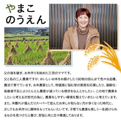 ふるさと納税 西予市 <古代米も入った!やまこのうえんのお米食べ比べセット> お米 コメ ご飯 ライス 穀物 こしひかり |  | 03
