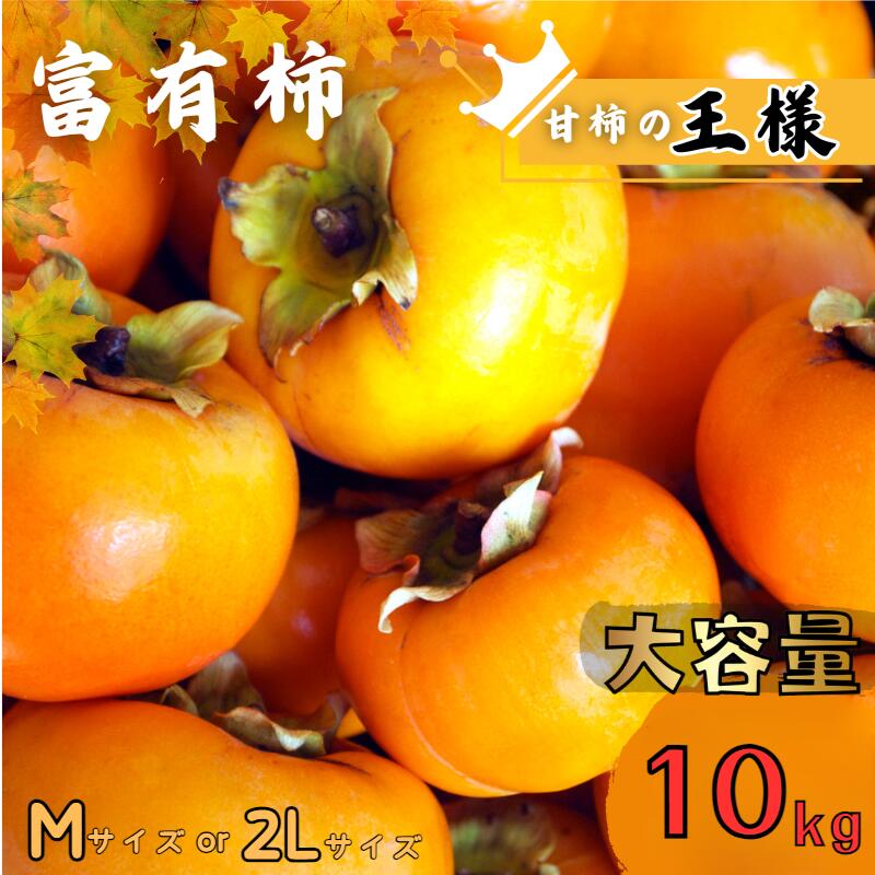 【ふるさと納税】富有柿 10kg 【選べるサイズ】Mサイズ または 2Lサイズ 【2025年11月中旬～12月上旬に順次発送致します。】《 レビューキャンペーン 実施中 ! 》【先行予約】【JAわかやま】/ 柿 かき カキ フルーツ 果物 人気 旬
