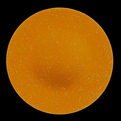 ふるさと納税 高野町 フラットプレート(D)　乱糸(マット仕上げ)シャンパンブラウン