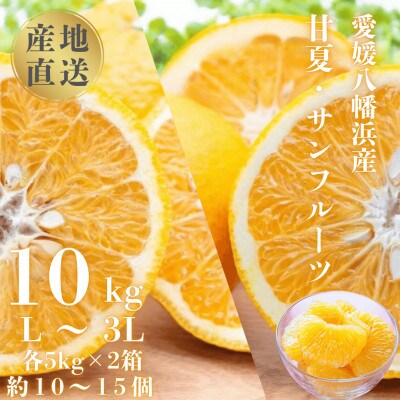 甘夏＆サンフルーツ各5kg【D20−10】【1094576】