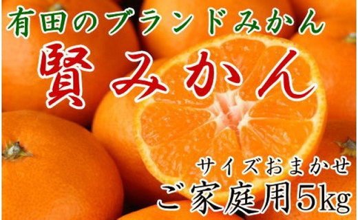 有田のブランド「賢みかん」5kg(S～Lサイズおまかせ）ご家庭用【2025年11月中旬頃より順次発送】 BZ017