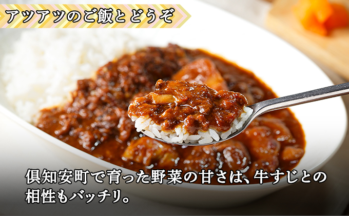 倶知安 牛すじカレー 北海道 計10個 中辛 レトルト食品 加工品 牛すじ 牛肉 野菜 じゃがいも お取り寄せ グルメ スパイシー スパイス【お肉・牛肉・加工食品】