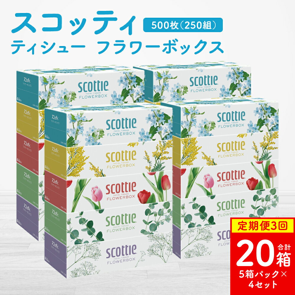 【ふるさと納税】【定期便3回】【毎月お届け】【スコッティ】 ティシュー フラワーボックス 250組 20箱 計60箱 ティッシュ 日用品 生活必需品 消耗品 紙 まとめ買い 備蓄 防災備蓄 デザインボックス ストック 新生活 防災 生活用品 日用消耗品 箱ティッシュ 送料無料