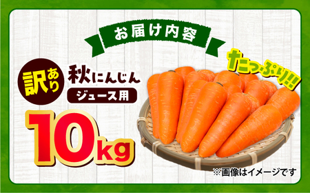 【先行予約】【2026年12月順次発送開始】秋にんじん10kg (訳あり) にんじん BHCW007