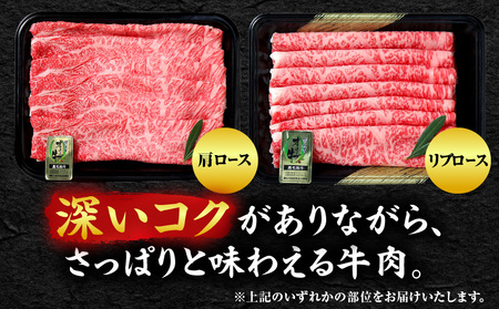 【三木町産】オリーブ牛リブロース・肩ローススライス 500g｜国産 国産牛 牛肉 オリーブ牛 選べる内容量 牛 500g ブランド牛 リブロース 肩ロース スライス お肉 小分け 冷凍 すき焼き 鍋 