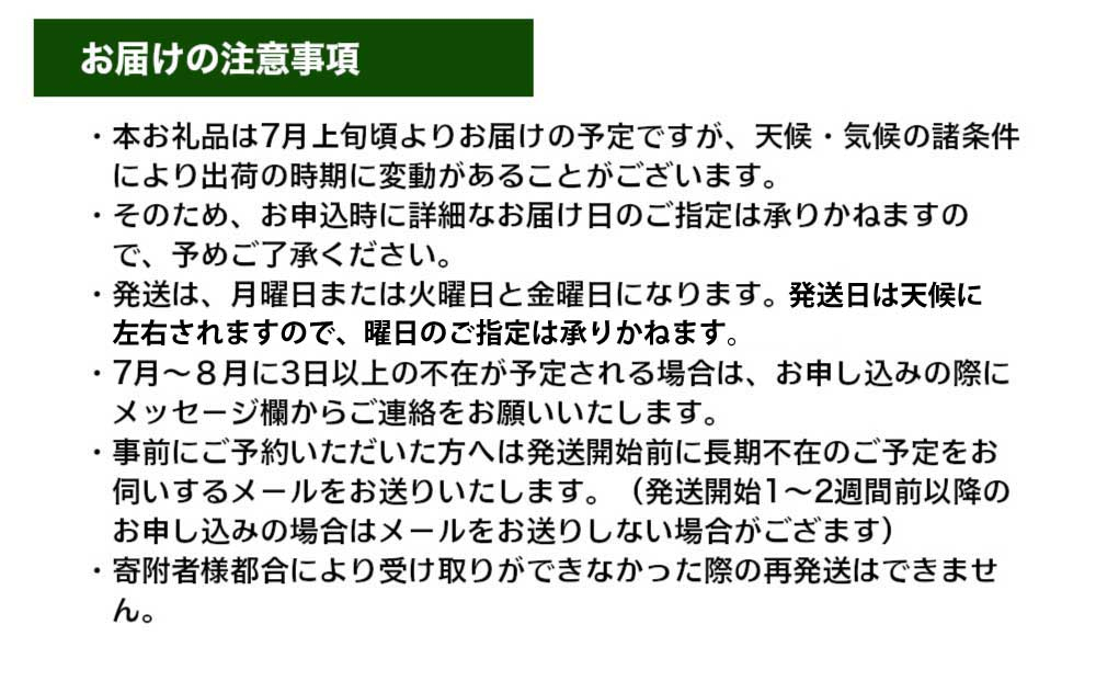 生とうもろこし 2Lサイズ 12本  有機肥料使用のスイートコーン！ 長野県東御市産 ※7月上旬から順次発送予定※発送曜日指定不可
