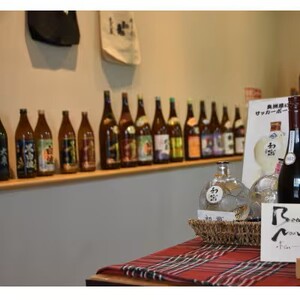 日本酒 初亀 特別純米 亀印 各720ml 2本セット 日本酒