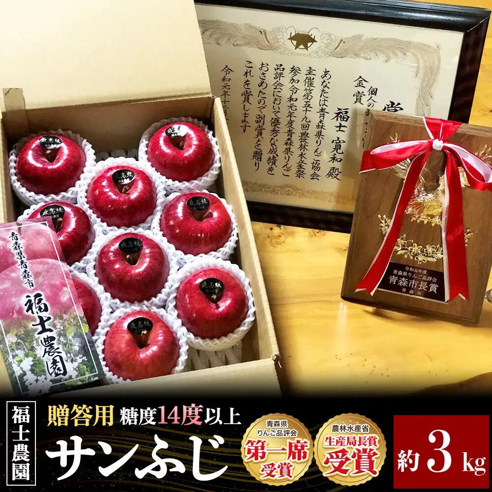 りんご サンふじ 贈答用 特選 約3kg【11月～発送】りんご