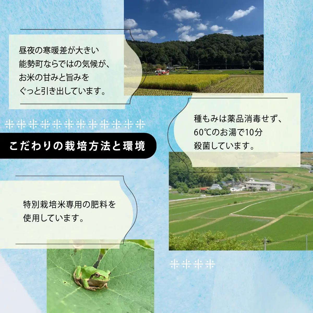 《予約受付中》令和8年産 特別栽培米 キヌヒカリ (玄米) 10kg×1袋 | 農園のら | 米 新米 玄米 10kg キヌヒカリ 減農薬 自然栽培 特別栽培 食 | おにぎり 弁当 産地直送 | 大