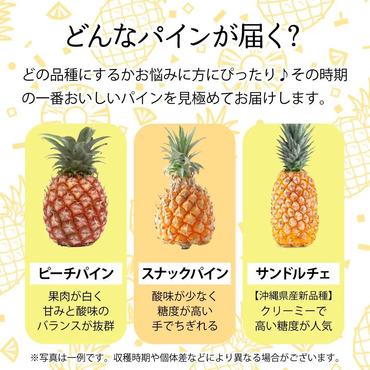 完熟 パインアップル 約6kg