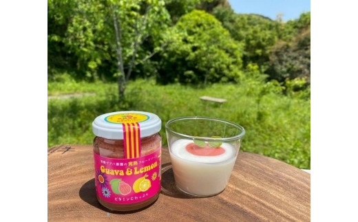 【12回定期便】有機グァバ農園の完熟フルーツソース Guava＆Lemon(グァバ＆レモン) 100g 2個 | フルーツ ソース ジャム じゃむ グアバ グァバ れもん レモン 高知県 南国市