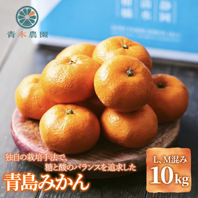 【ふるさと納税】【2026年1月中旬より順次発送】青木農園 青島みかん 10kg【配送不可：離島】◇ | 果物類・柑橘類・みかん・フルーツ・青島みかん・ミカン